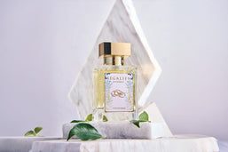 dem (esclusiva online)