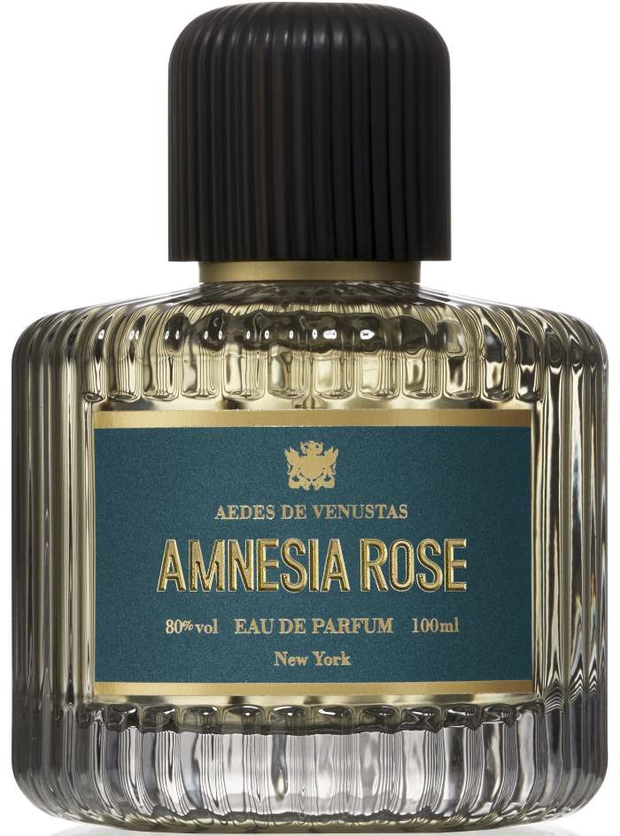 amnesia rose