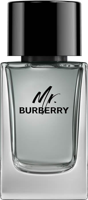 mr. burberry edt