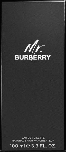 mr. burberry edt