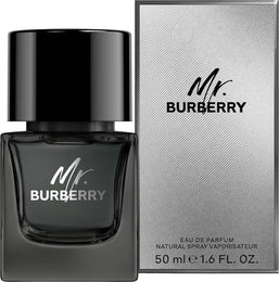 mr. burberry edp