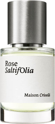 rose saltifolia